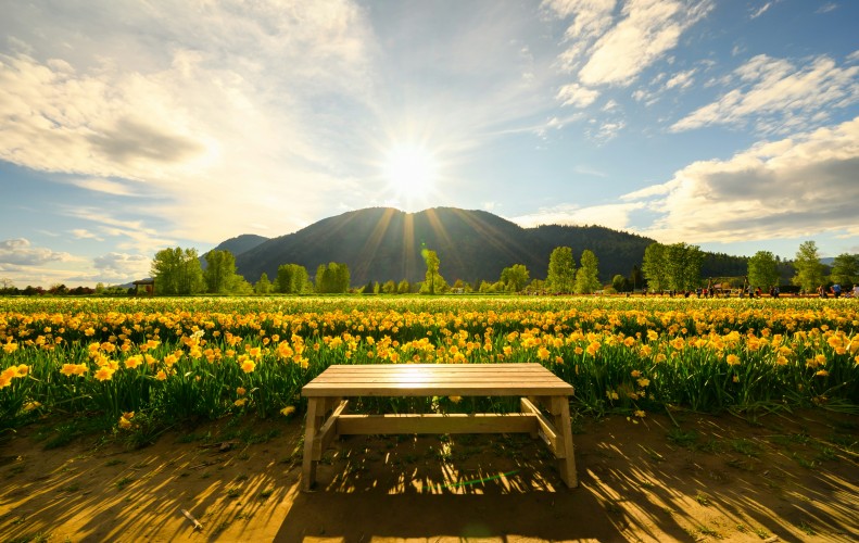Fast Canada Cash Chilliwack