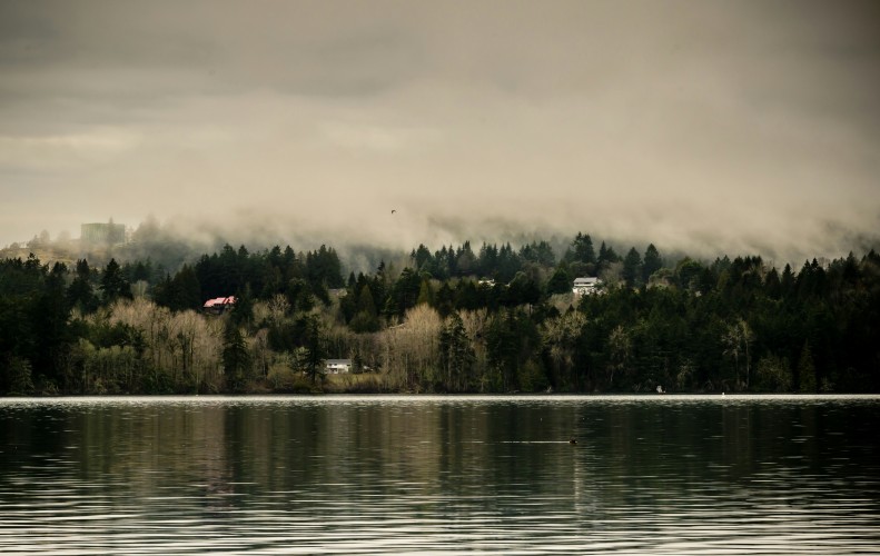 Fast Canada Cash Saanich